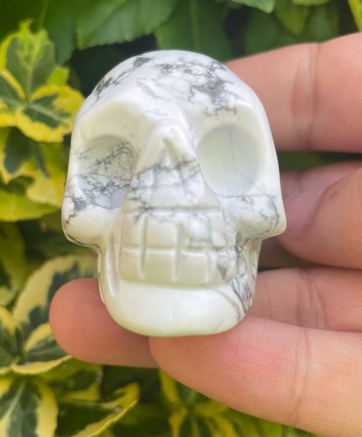 Howlite Skull