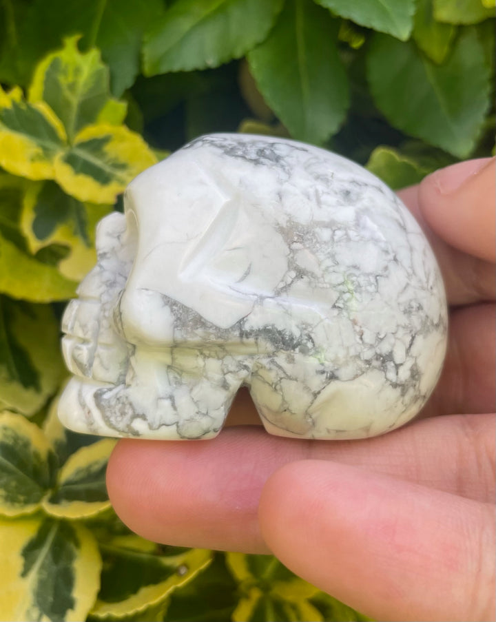 Howlite Skull