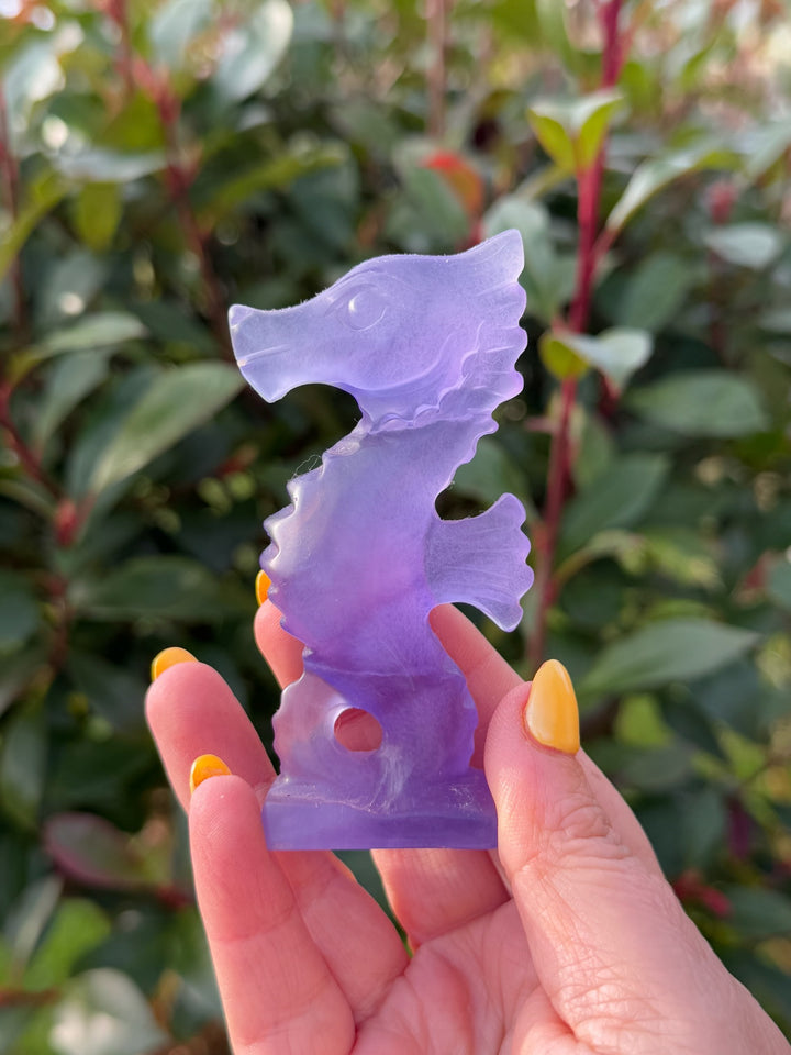 Purple Fluorite Seahorse