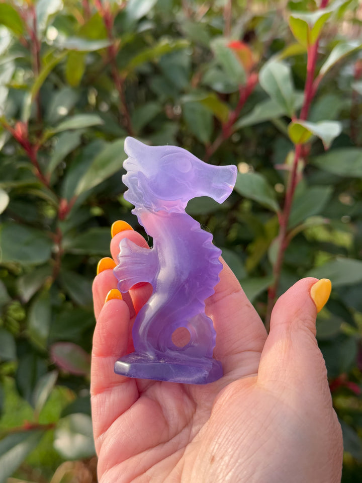 Purple Fluorite Seahorse