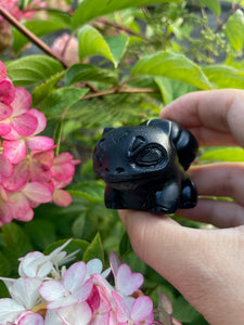 Obsidian Bulbasaur Pokemon