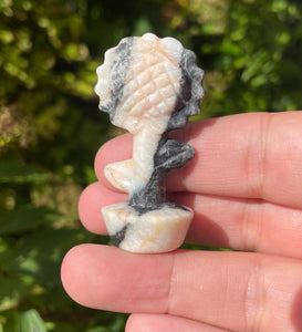 Zebra Jasper Flower