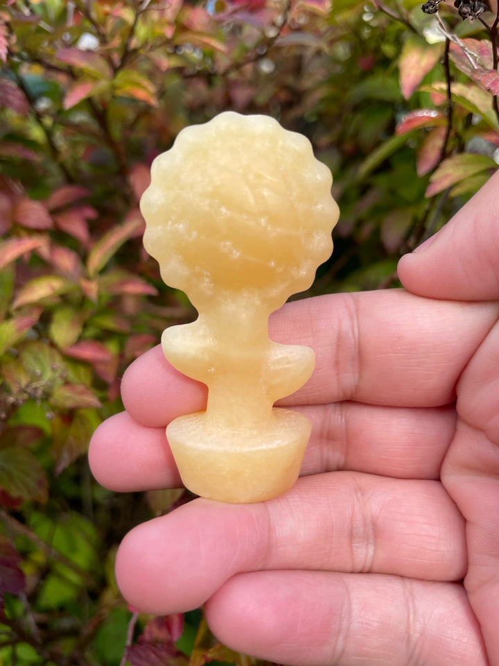 Calcite Flower