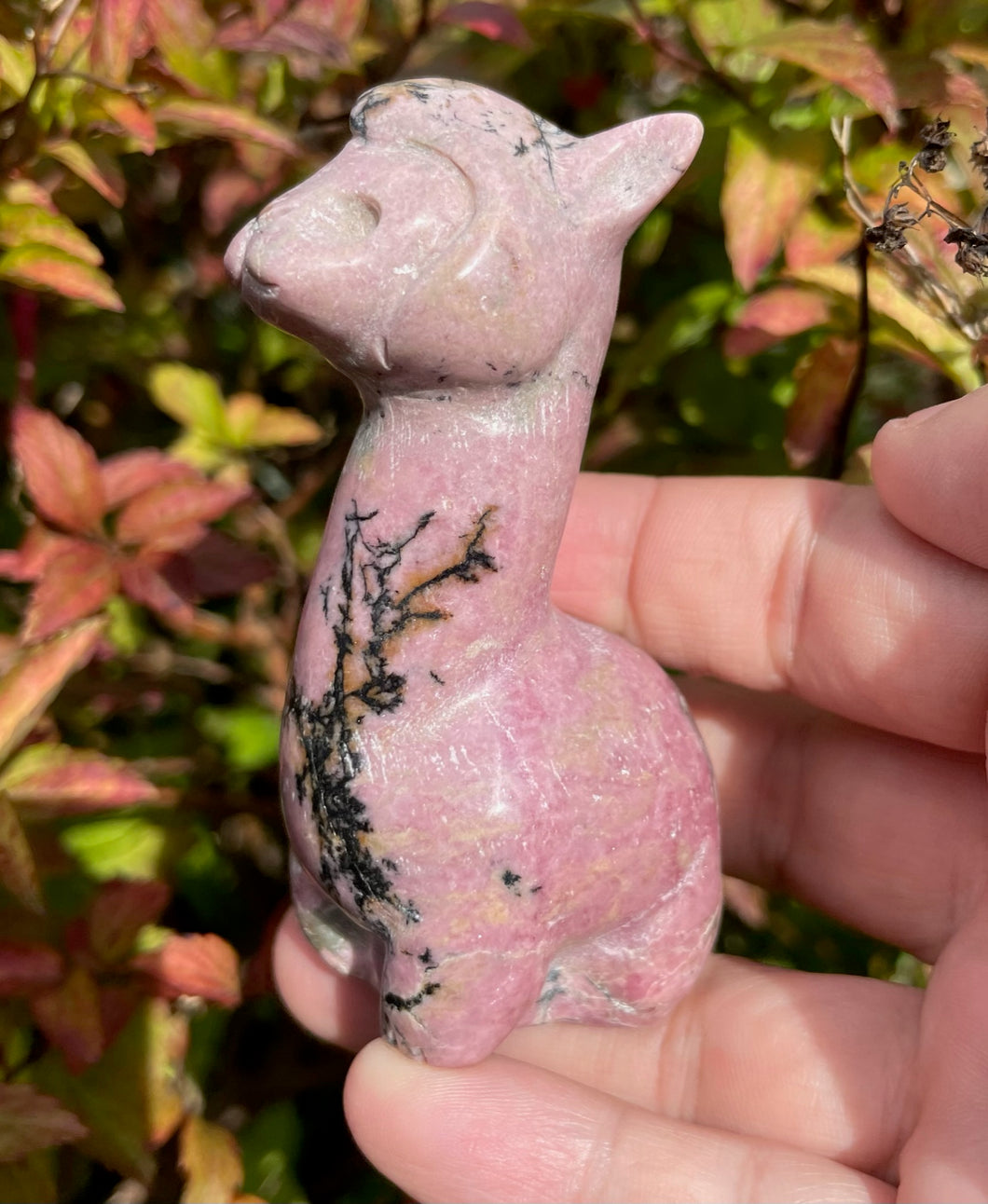 Rhodonite Llama