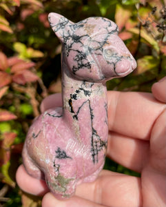 Rhodonite Llama