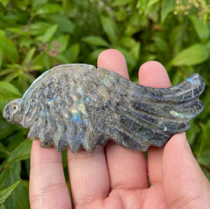 Labradorite Angel Wing