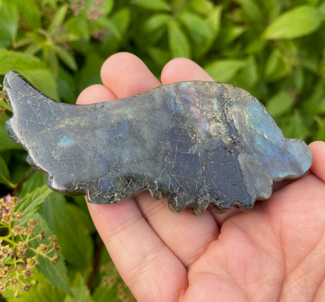 Labradorite Angel Wing