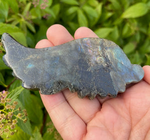 Labradorite Angel Wing