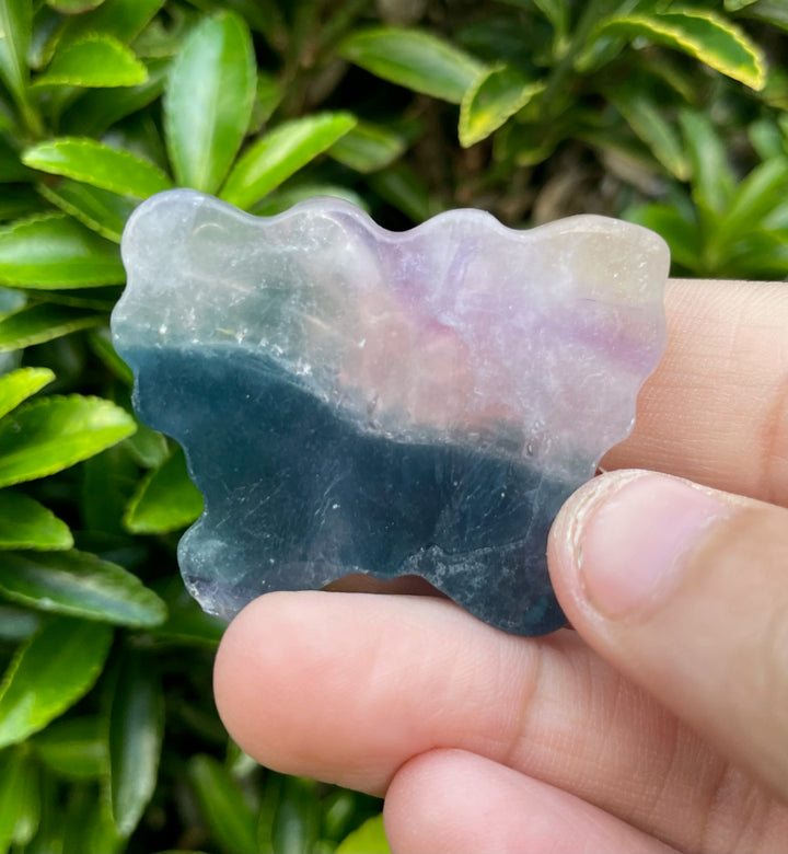 Fluorite Butterfly