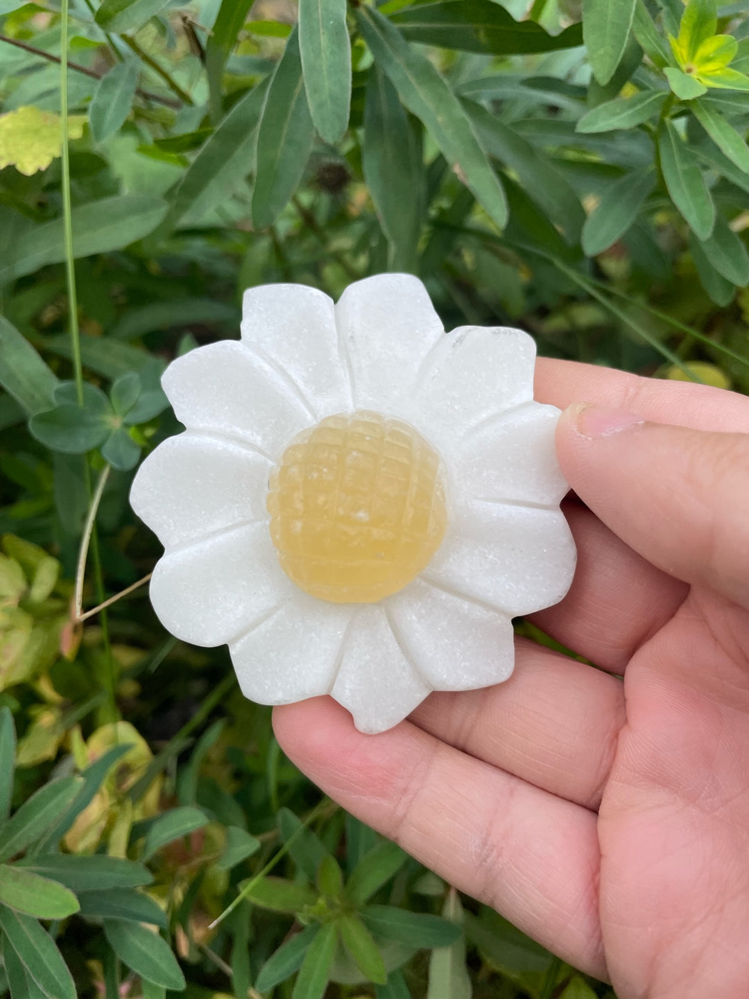 Calcite Daisy Flower