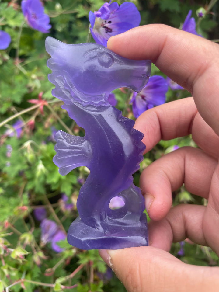 Purple Fluorite Seahorse