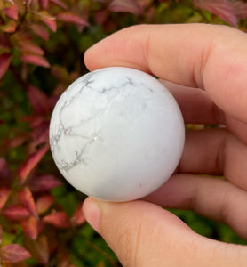Howlite and Jasper Pokemon Ball