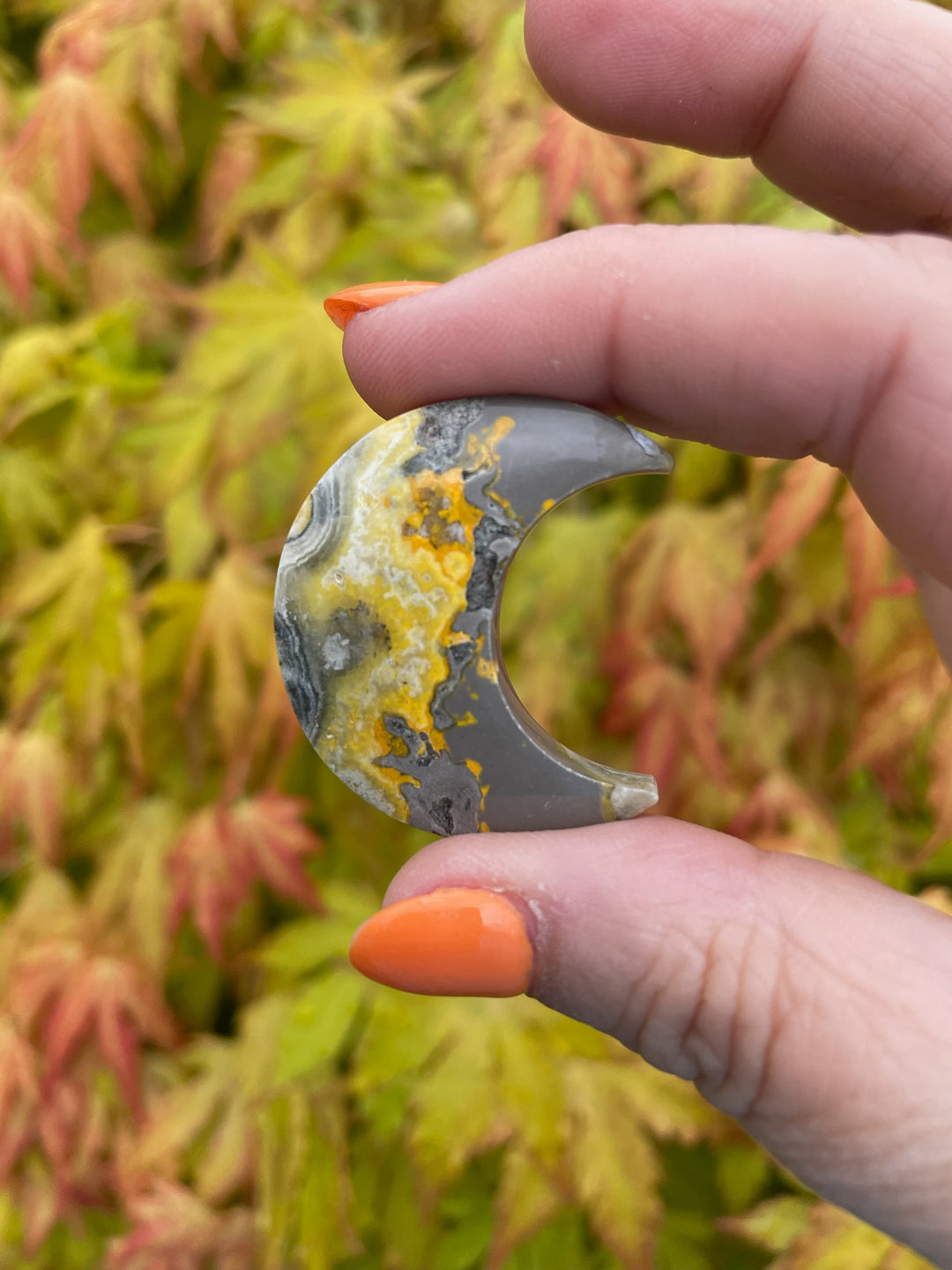 Bumblebee Jasper Moon