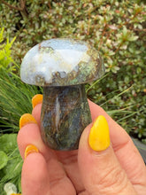 Load image into Gallery viewer, Moss Agate Mushroom
