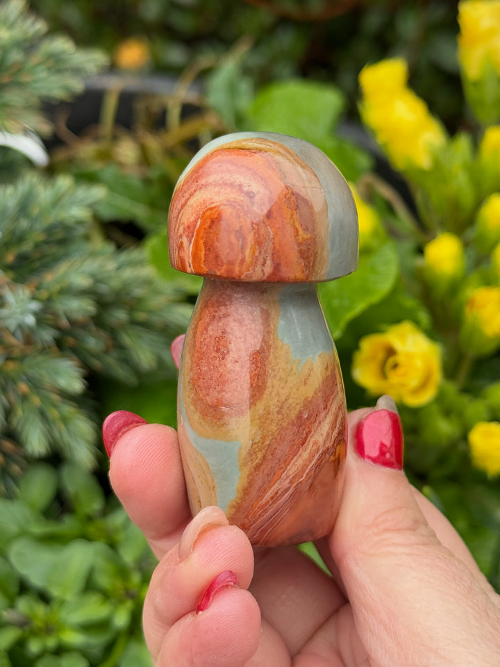 Polychrome Jasper Mushroom