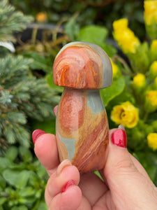 Polychrome Jasper Mushroom