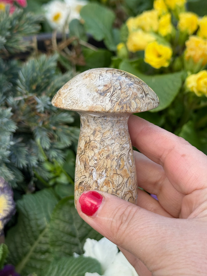 Jasper Mushroom Carving