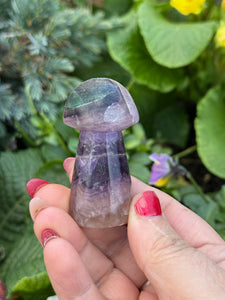 Hand Carved Fluorite Mushroom