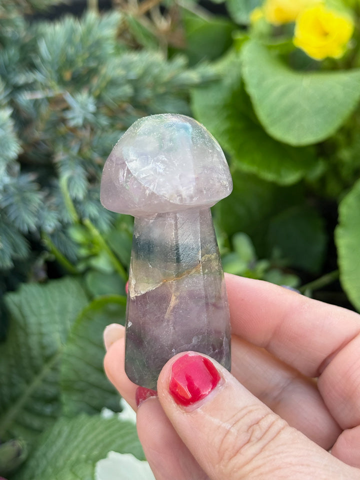 Hand Carved Rustic Fluorite Mushroom