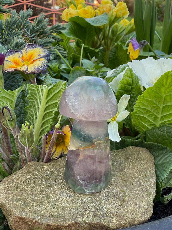 Hand Carved Rustic Fluorite Mushroom