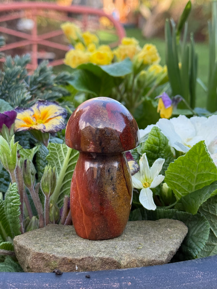 Polychrome Jasper Mushroom