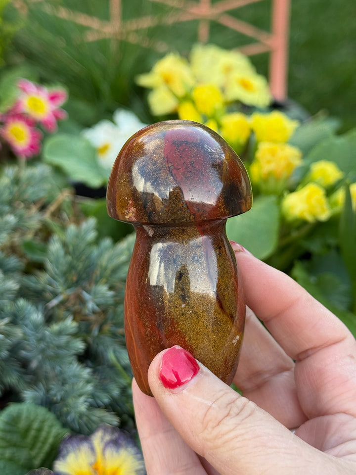 Polychrome Jasper Mushroom