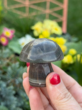 Load image into Gallery viewer, Smoky Fluorite Mushroom Carving
