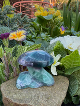 Load image into Gallery viewer, Fluorite Mushroom Carving
