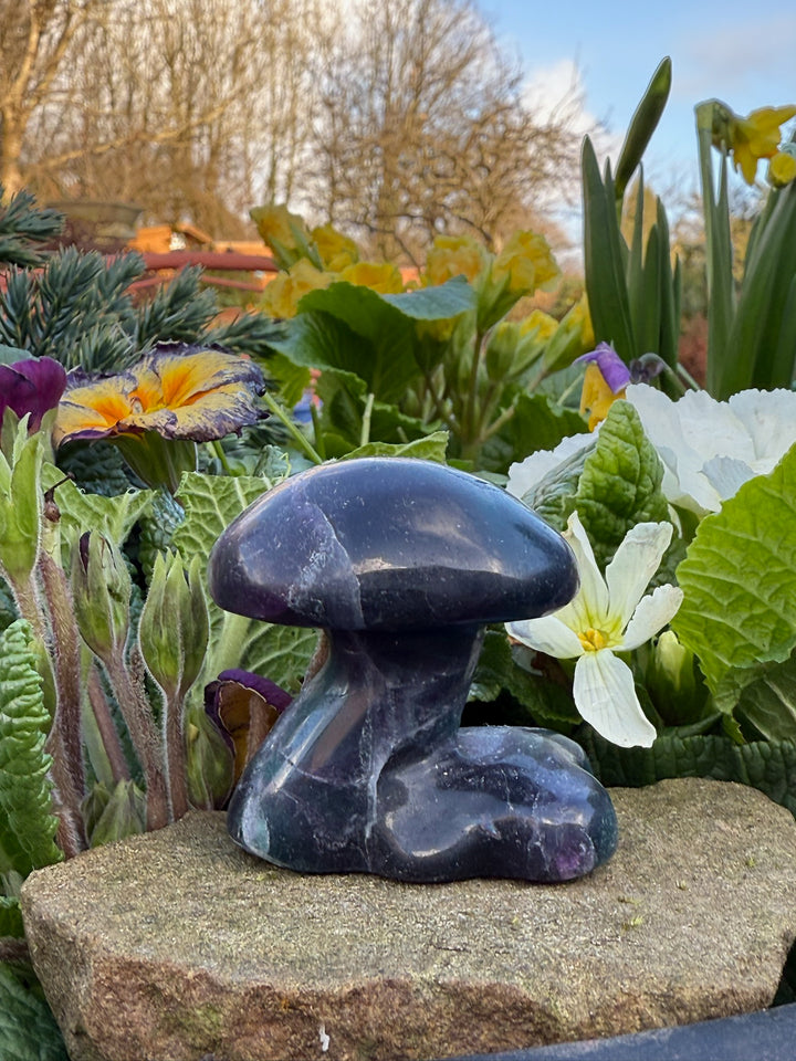 Purple Fluorite Mushroom Carving