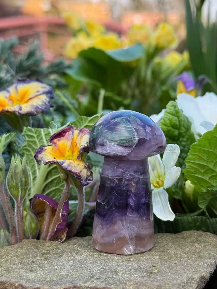 Rustic Hand Carved Fluorite Mushroom