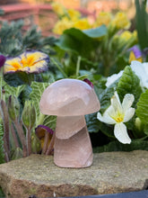 Load image into Gallery viewer, Clear Fluorite Mushroom Carving

