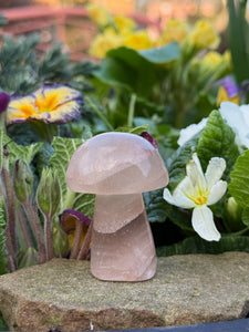 Clear Fluorite Mushroom Carving