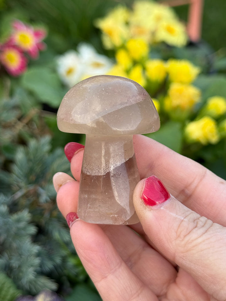 Clear Fluorite Mushroom Carving