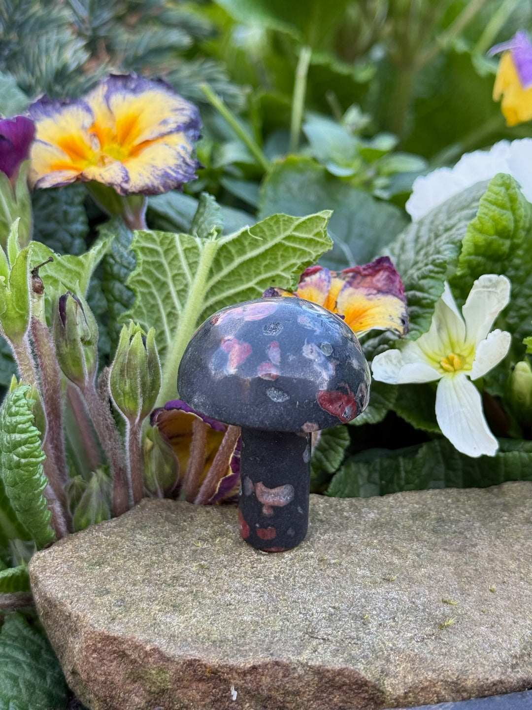 Plum Blossom Jasper Mushroom