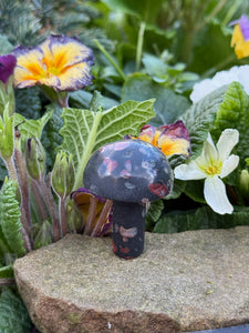 Plum Blossom Jasper Mushroom