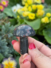 Load image into Gallery viewer, Plum Blossom Jasper Mushroom
