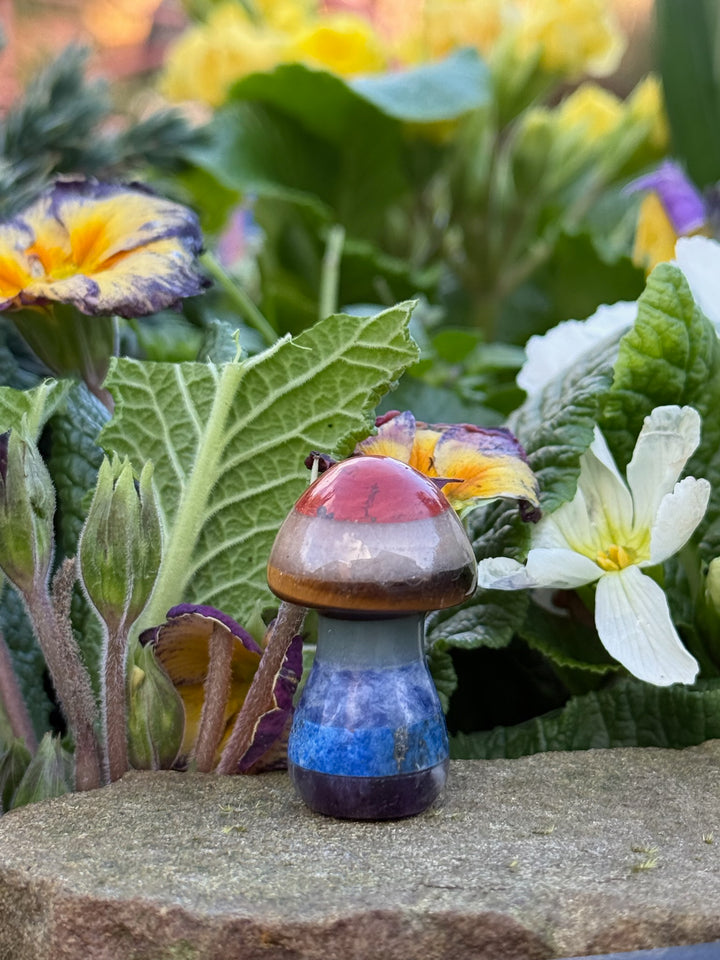 Chakra Mushroom Carving