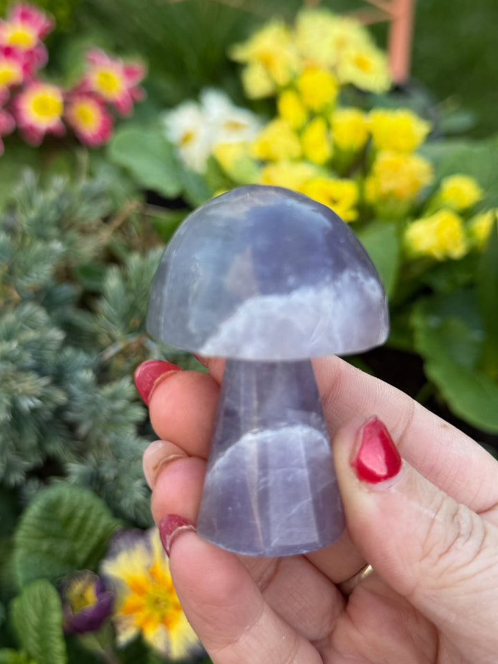 Hand Carved Purple Fluorite Mushroom Carving