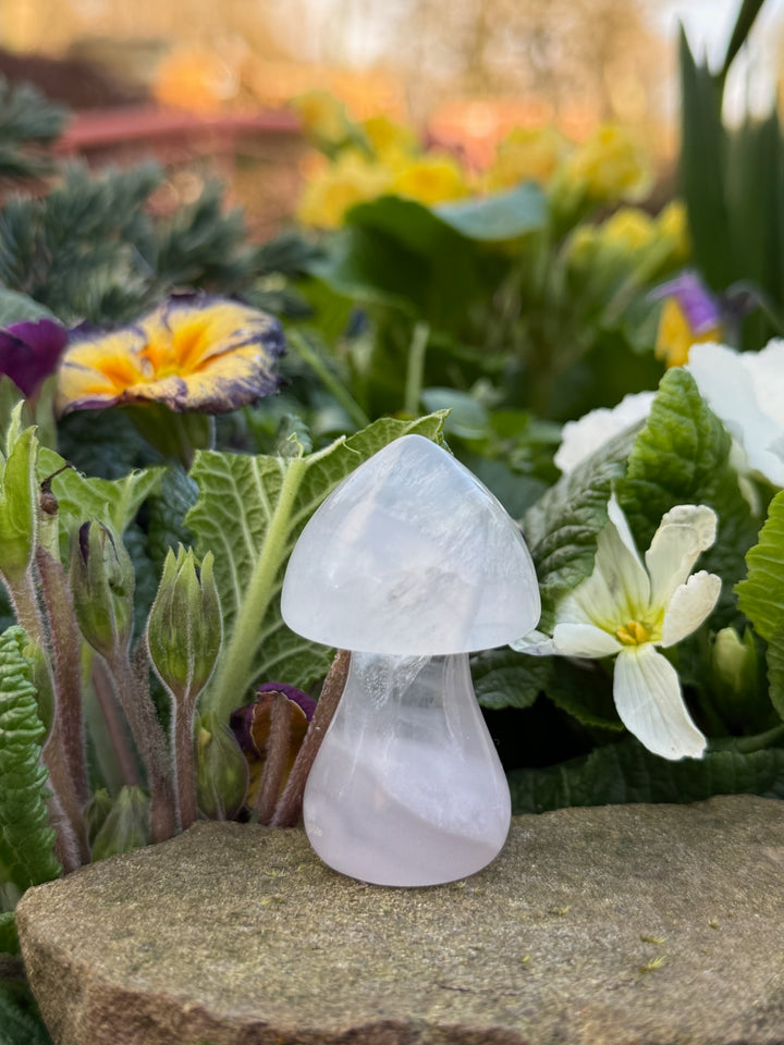 Lavenader Fluorite Mushroom Carving