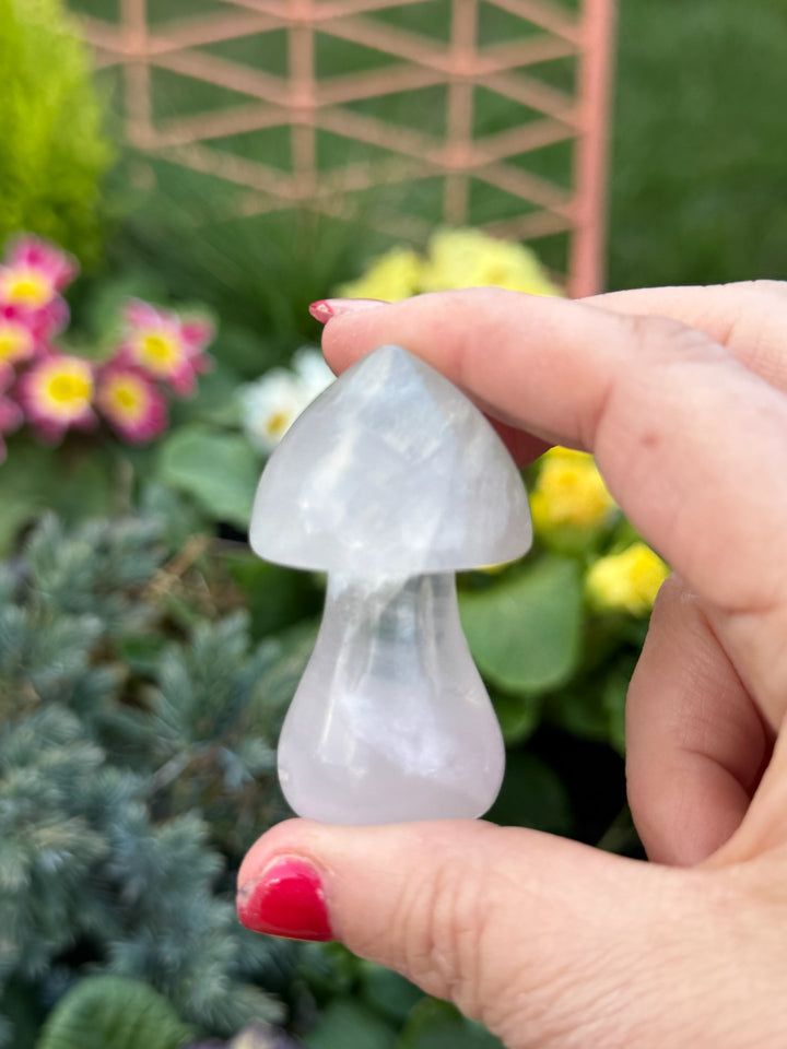 Lavenader Fluorite Mushroom Carving