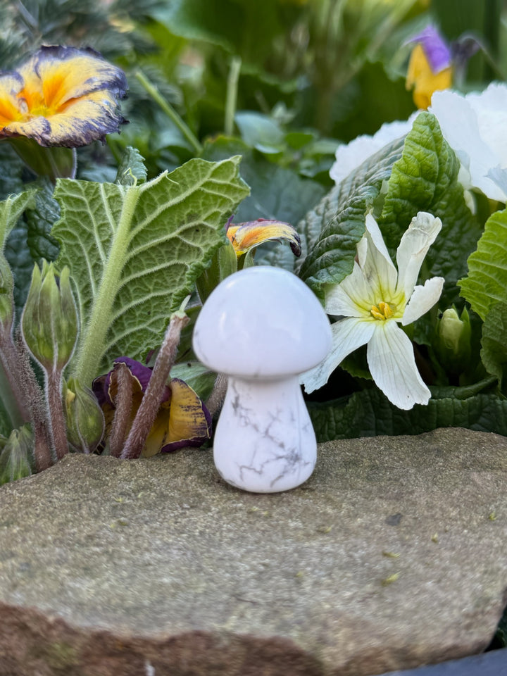Howlite Mushroom Carving