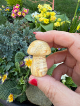 Load image into Gallery viewer, Crazy Lace Agate Mushroom
