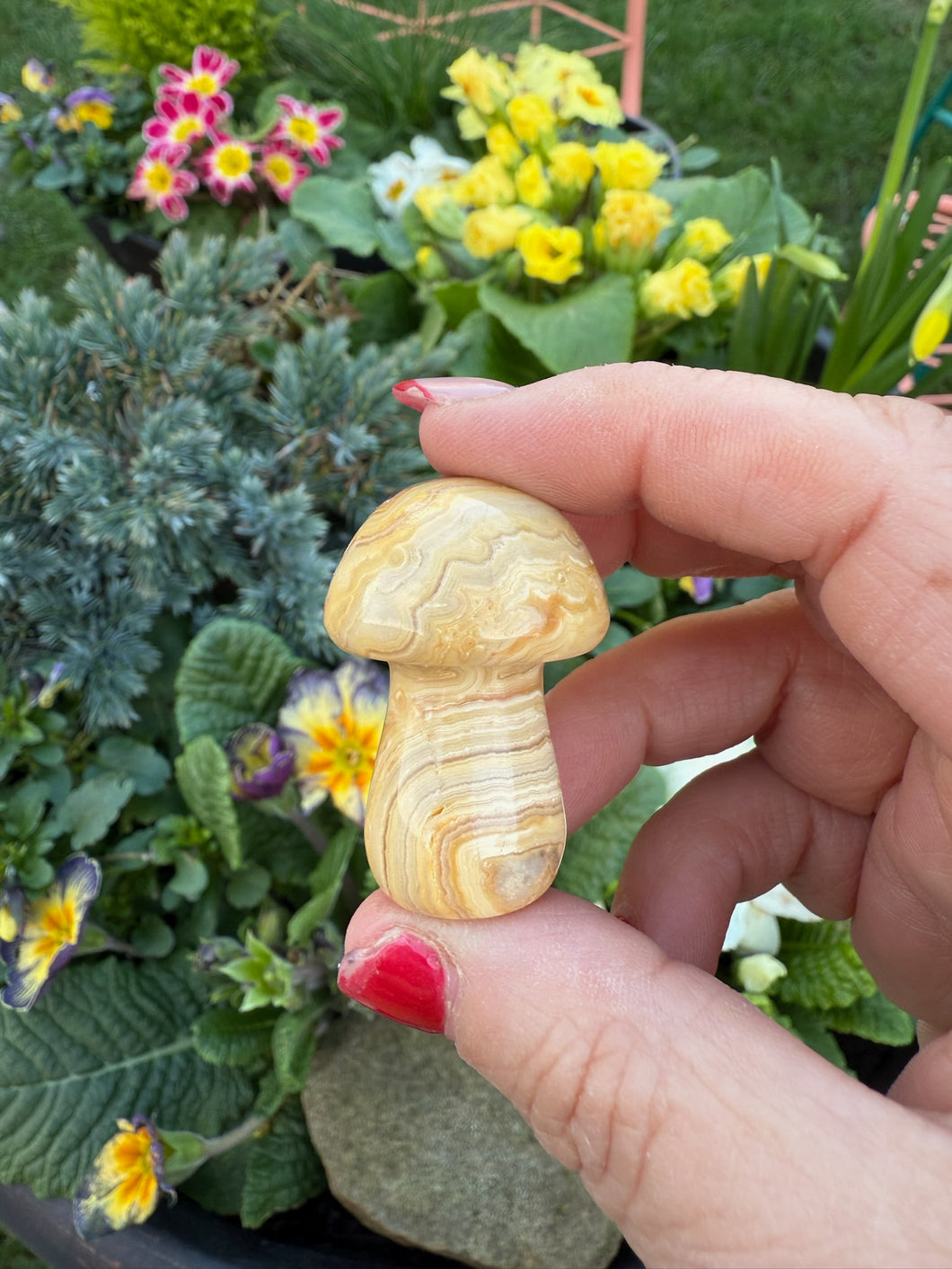 Crazy Lace Agate Mushroom