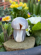 Load image into Gallery viewer, Large Druzy Agate Mushroom
