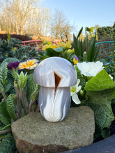 Load image into Gallery viewer, Large Druzy Agate Mushroom
