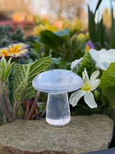 Load image into Gallery viewer, Quartz Mushroom Carving
