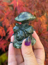 Load image into Gallery viewer, Serpentine Mushrooms with Snail Carving
