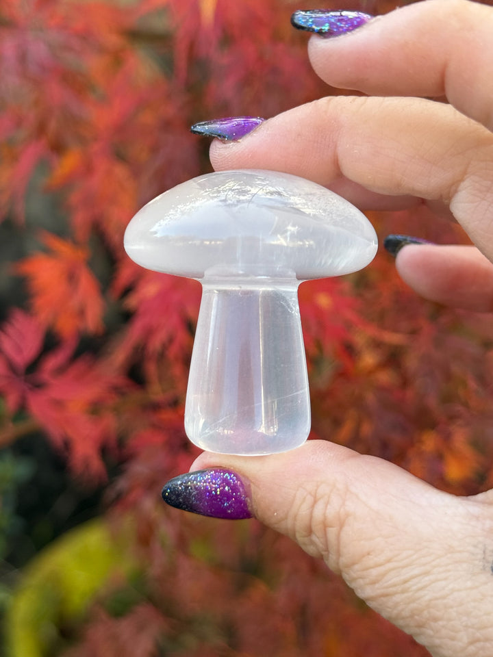 Girasol Quartz Mushroom Carving