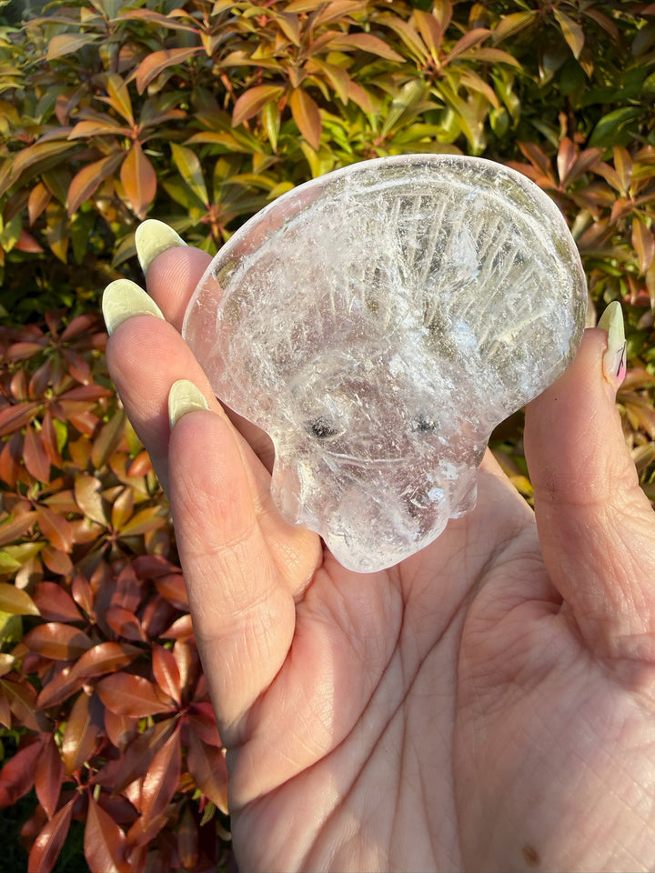 Freestanding Clear Quartz Jelly Fish Pet Carving