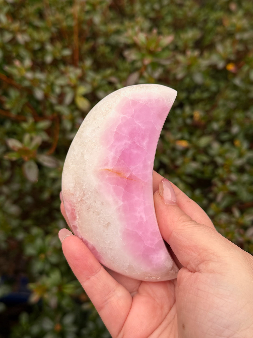 UV Reactive Pink Aragonite Moon Carving